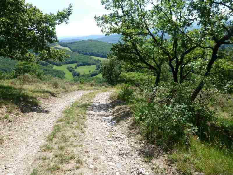 Agrandir l'image En direction du Col Jannot