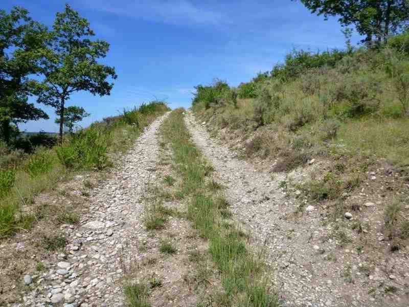 Agrandir l'image En direction du Col Jannot