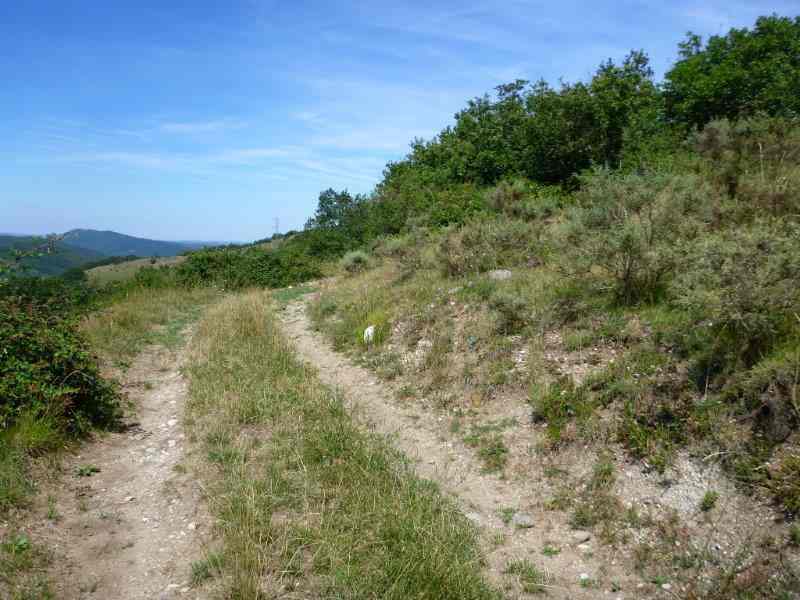 Agrandir l'image En direction du Col Jannot