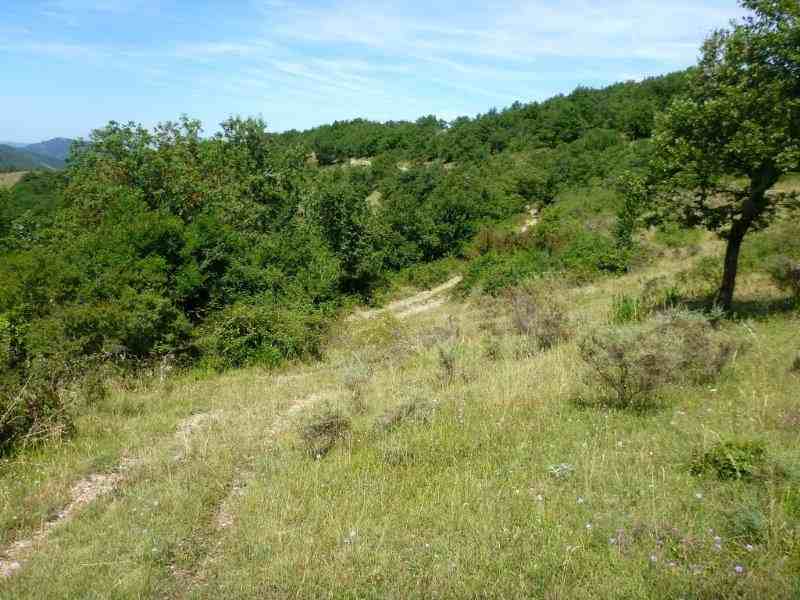 Agrandir l'image En direction du Col Jannot
