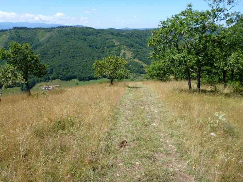 Agrandir l'image En direction du Col de la Bessède