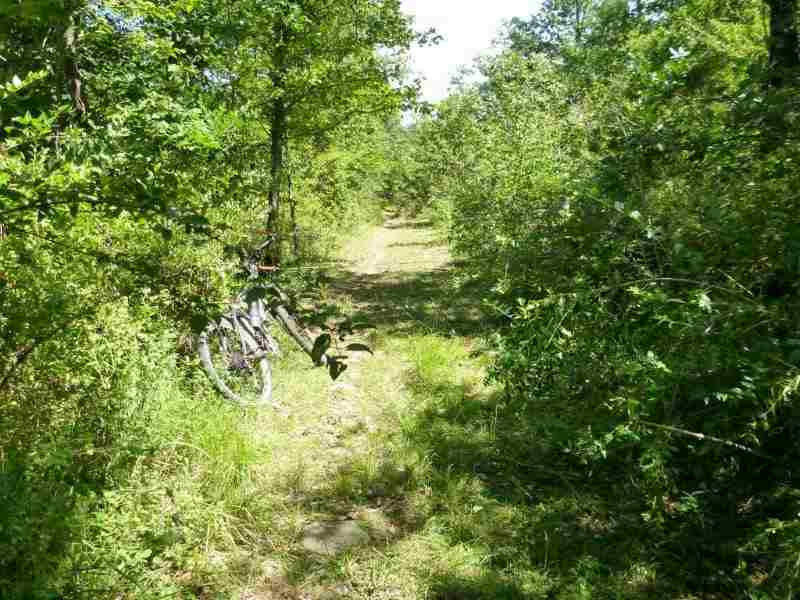 Agrandir l'image En direction du Col d'Engaraud
