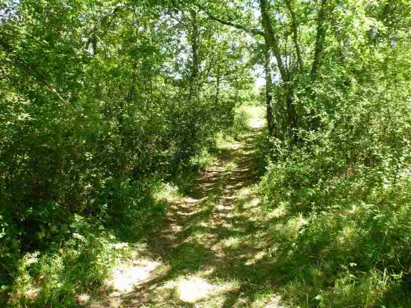 Agrandir l'image En direction du Col d'Engaraud
