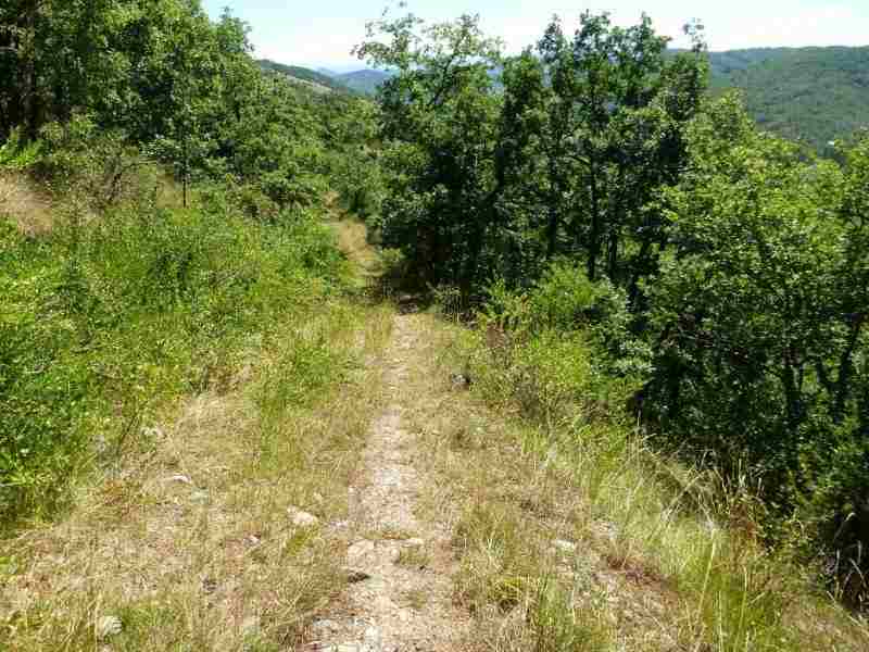 Agrandir l'image En direction du Col d'Engaraud