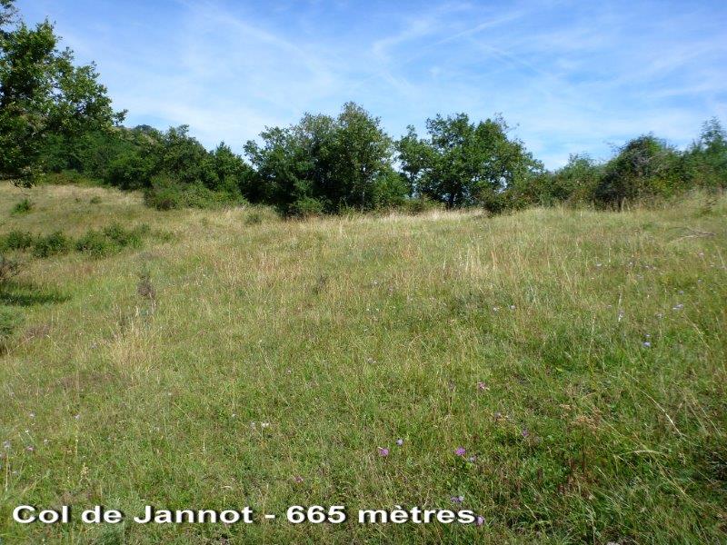 Agrandir l'image Col Jannot