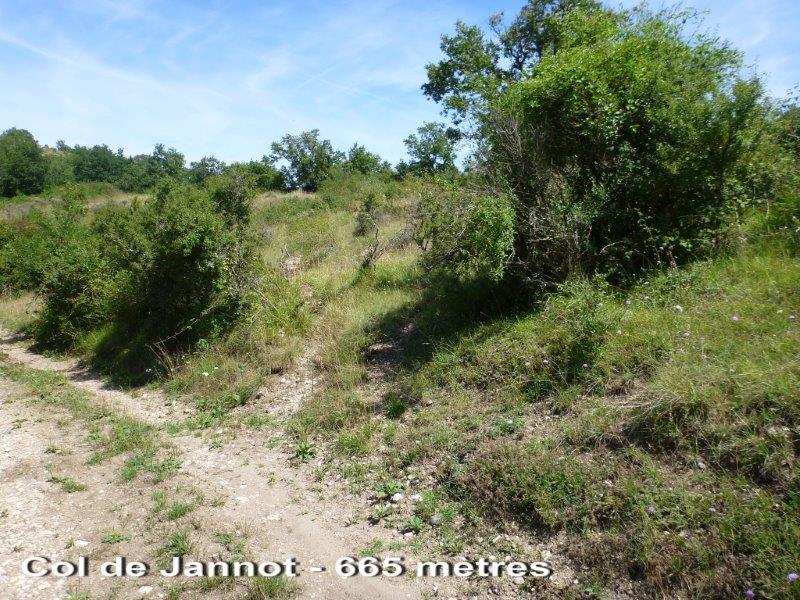 Agrandir l'image Col Jannot