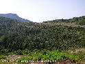 Agrandir l'image Coll de la Basseta - ES-T-574 mètres (Iberpix)