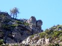 Agrandir l'image L'Aigualcoll - ES-T-339 mètres