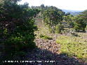 Agrandir l'image Collado del Carrascal - ES-TE-1495