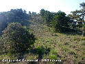 Agrandir l'image Collado del Carrascal - ES-TE-1495