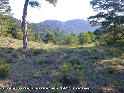 Agrandir l'image Collado del Carrascal - ES-TE-1495