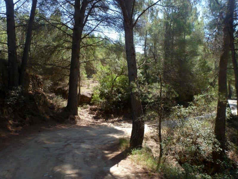 Agrandir l'image En direction d'El Collet