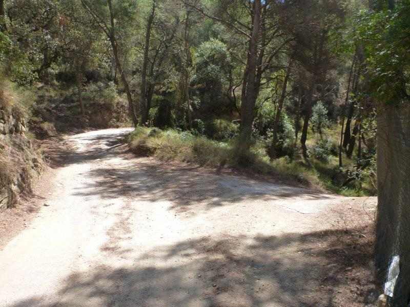 Agrandir l'image En direction d'El Collet