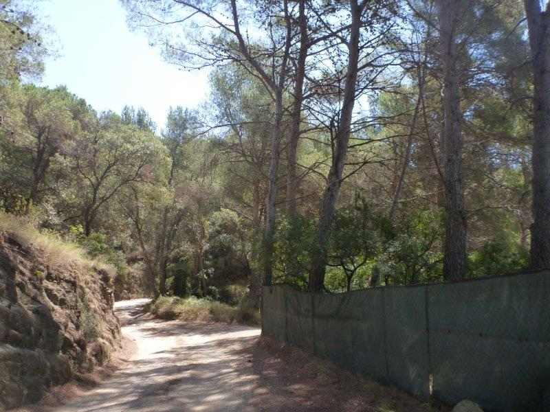 Agrandir l'image El Collet