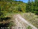 Col du Pal - FR-34-0554