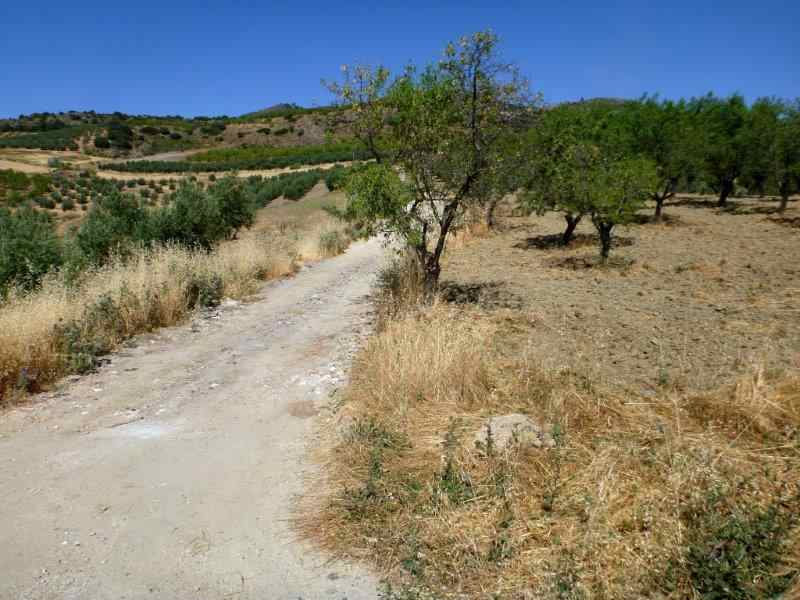 Agrandir l'image La Peza