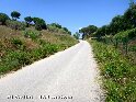 Agrandir l'image Coll d'en Cabrera - ES-B-0119a