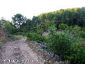 Agrandir l'image Coll de la Creu - ES-T-0271