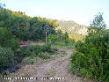 Agrandir l'image Coll de la Creu - ES-T-0271
