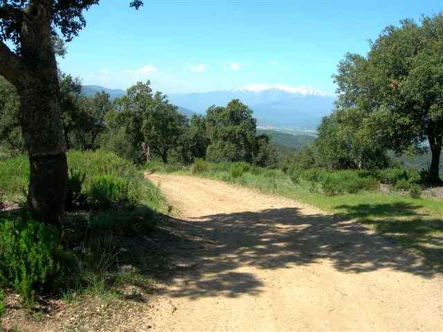 Piste du Coll dels Noguerers