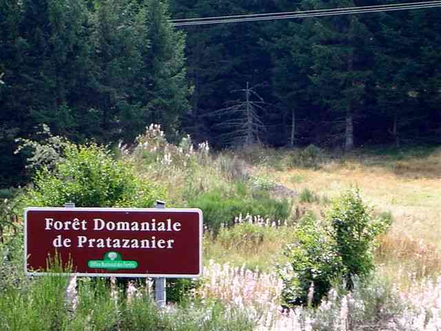 Agrandir l'image Forêt domaniale de Ptratazanier (pancarte)
