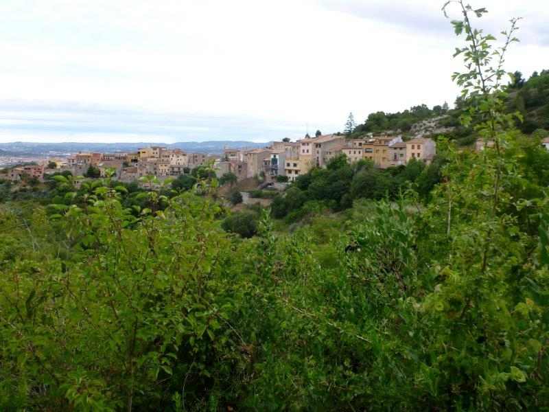 Agrandir l'image Lilla provincia de Tarragona