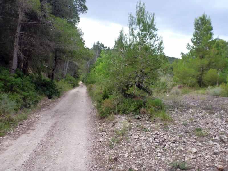 Agrandir l'image Lilla, en direction du Coll Vell