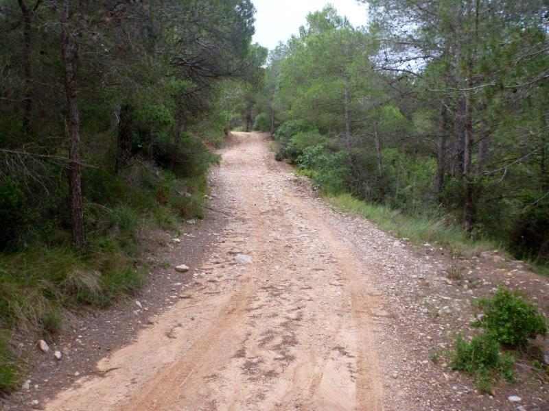 Agrandir l'image Lilla, en direction du Coll Vell