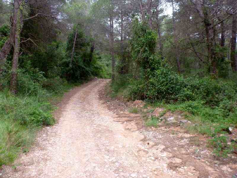 Agrandir l'image Camí Vell de Tarragona a Montblanc