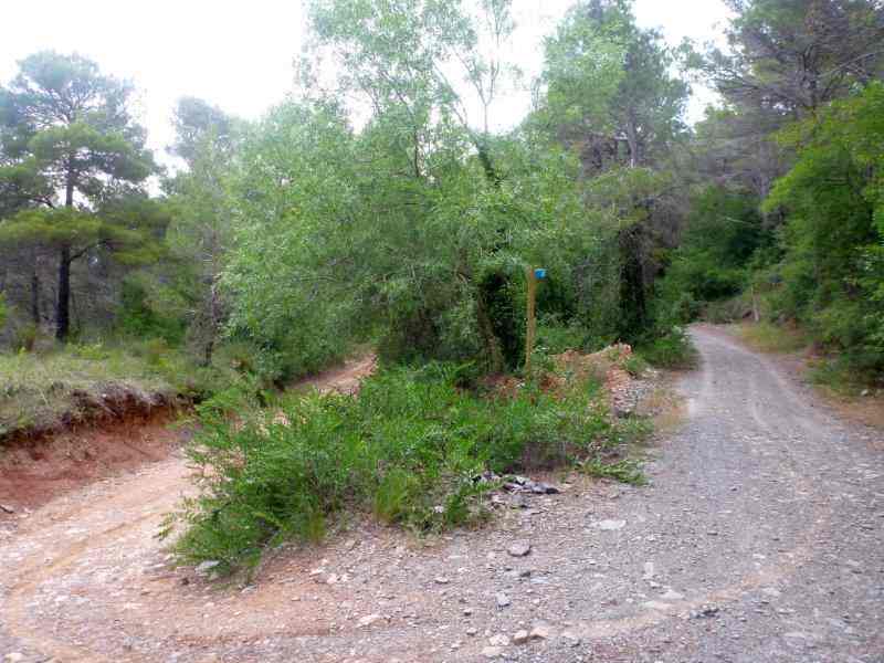 Agrandir l'image Camí Vell de Tarragona a Montblanc