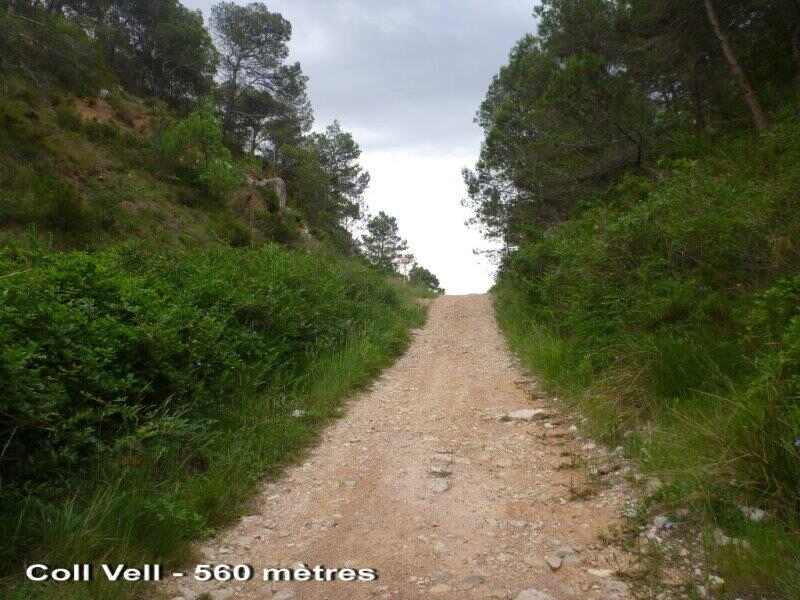 Agrandir l'image Coll Vell