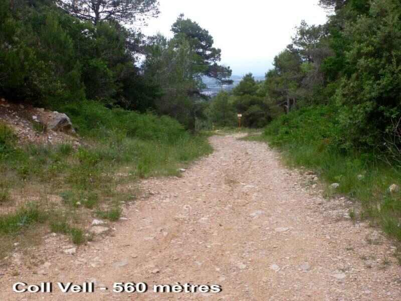 Agrandir l'image Coll Vell