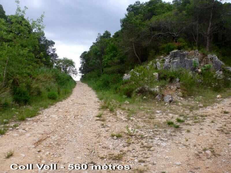 Agrandir l'image Coll Vell