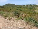 Coll des Sastres - FR-66-0217b