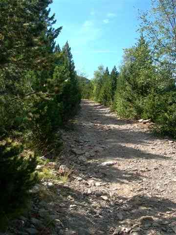 En direction du Coll de Baladredo