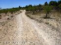 Collado de Arbolaje - ES-V-0405