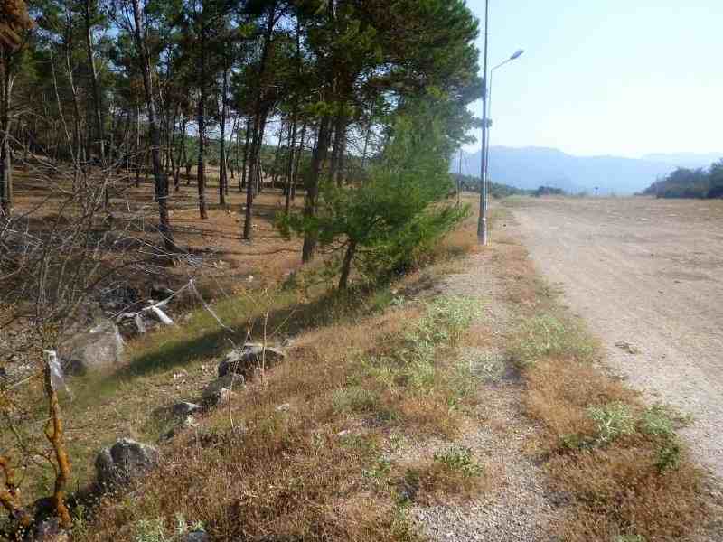 Agrandir l'image ../mancha_real/collado_jara.jpg