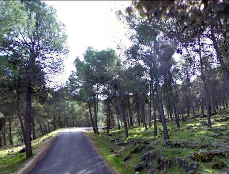 Agrandir l'image En direction du Collado Jara