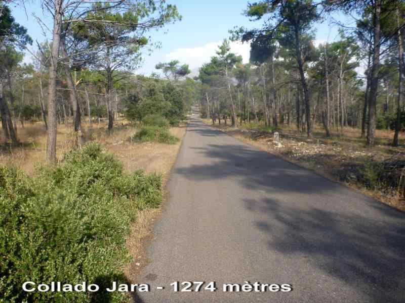 Agrandir l'image ../mancha_real/collado_jara.jpg
