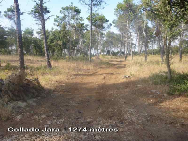 Agrandir l'image ../mancha_real/collado_jara.jpg