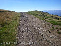 Coll de la Font d'Aristot - ES-L-2194