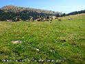 Coll de les Fonts de Bescaran - ES-L-2156