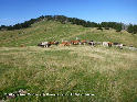 Coll de les Fonts de Bescaran - ES-L-2156