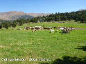 Coll de Mids - ES-L-2156