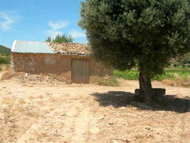 Agrandir l'image