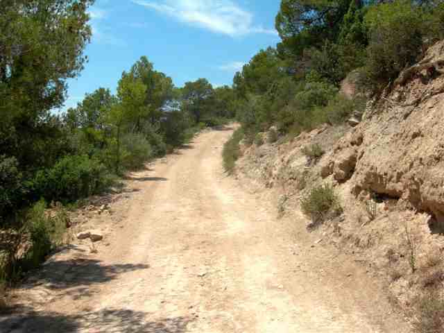 Agrandir l'image