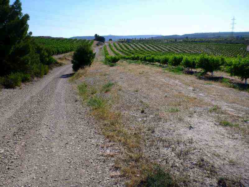 Agrandir l'image Granyena de les Garrigues En direction du Collet de la Cirera