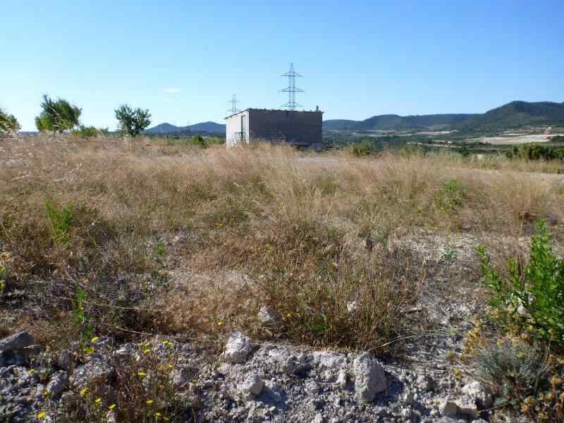 Agrandir l'image Granyena de les Garrigues En direction du Collet de la Cirera