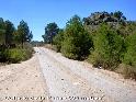 Collado de la Pea - ES-AB-0535