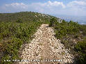 Coll del Cabe Gros - ES-V-722 mtres